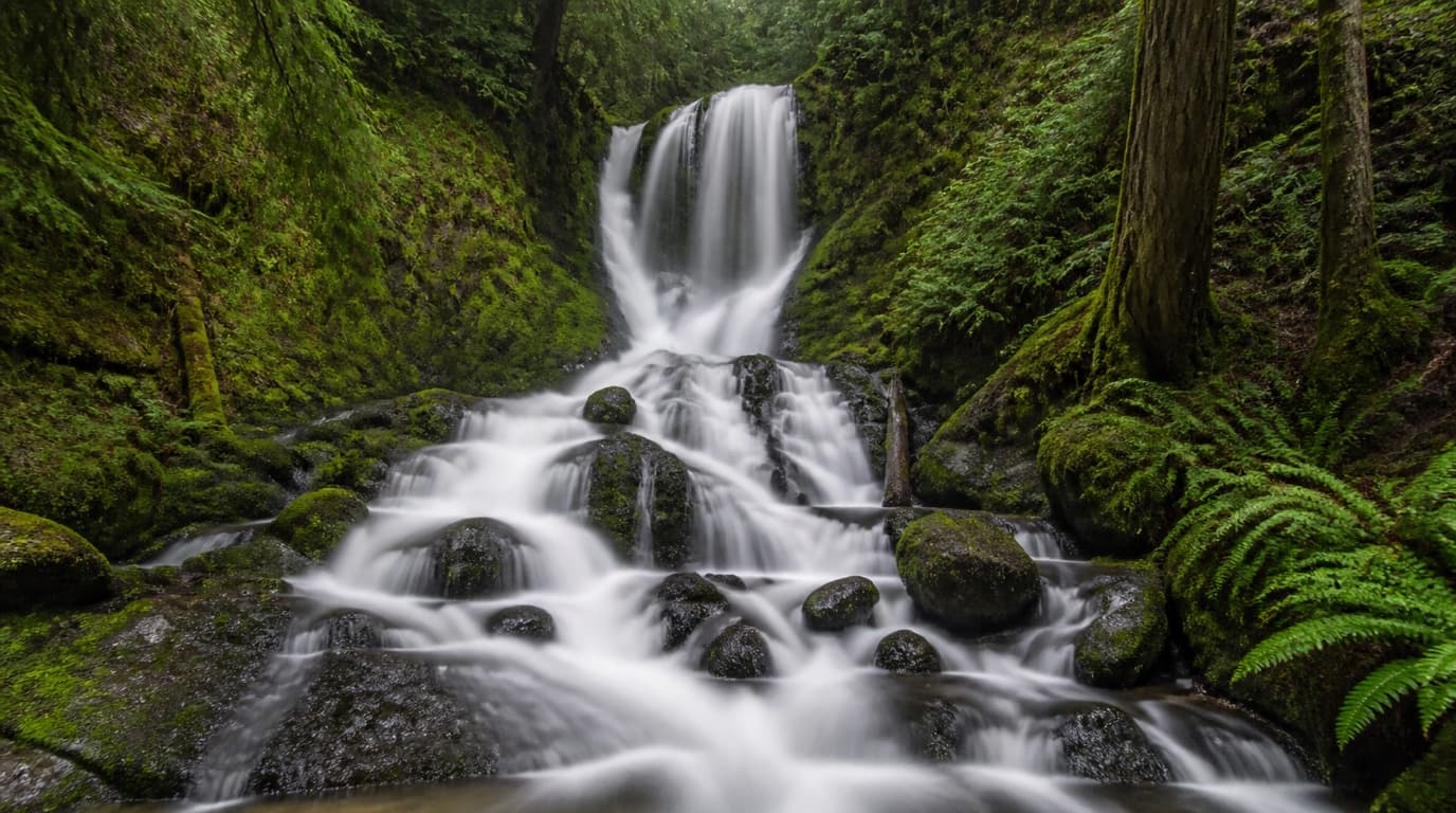 A silky long-exposure forest waterfall
