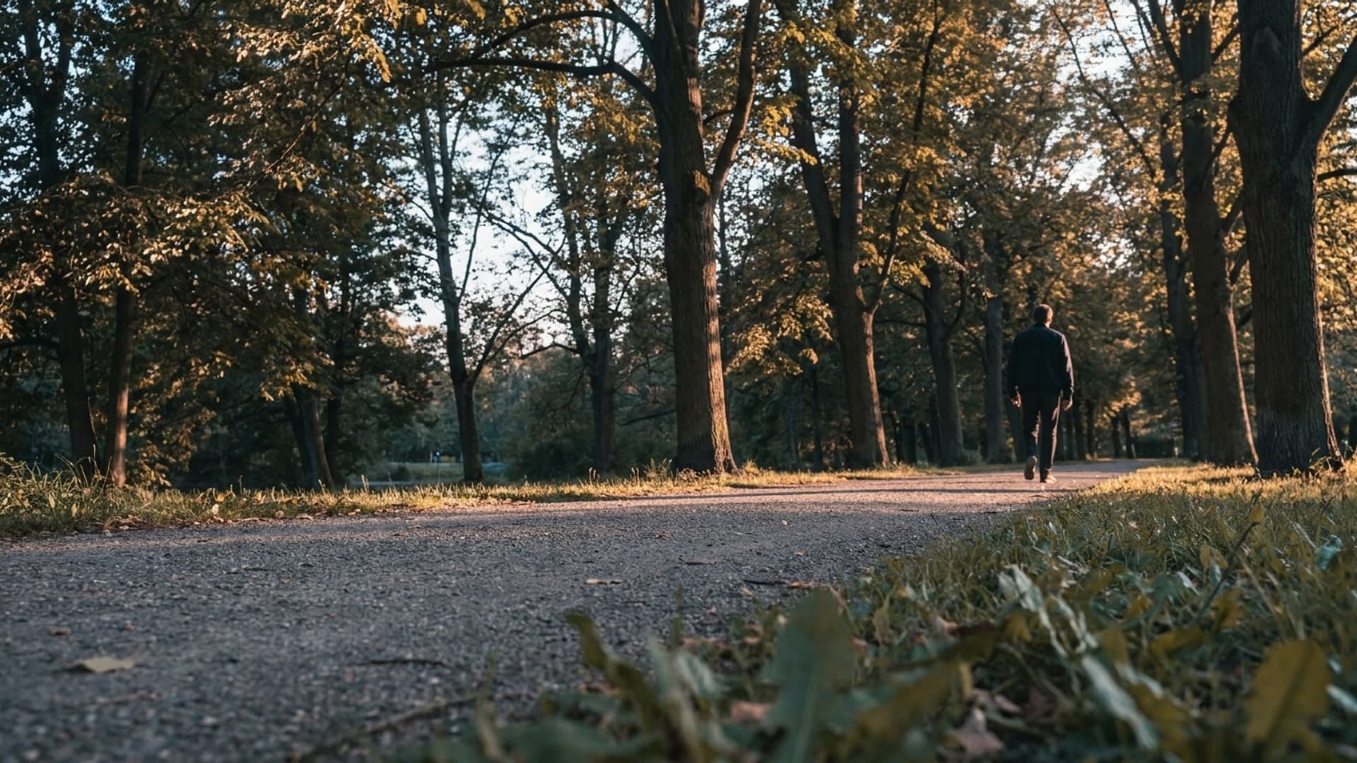 A tree-lined park path in warm evening light leading toward a lone walker on the right side of the frame