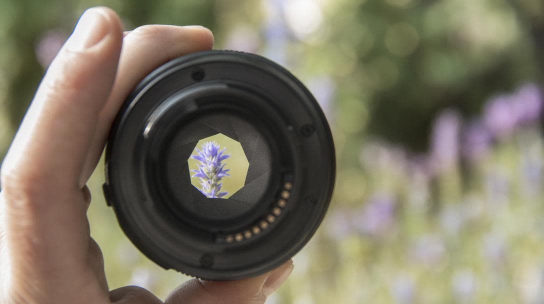 A camera lens showing the aperture blades, a subject sharp against a creamy blurred background