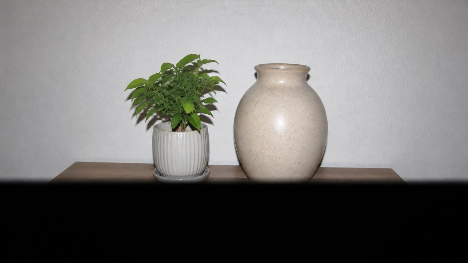 A flash-lit still life with a dark horizontal shutter-curtain band across the bottom of the frame