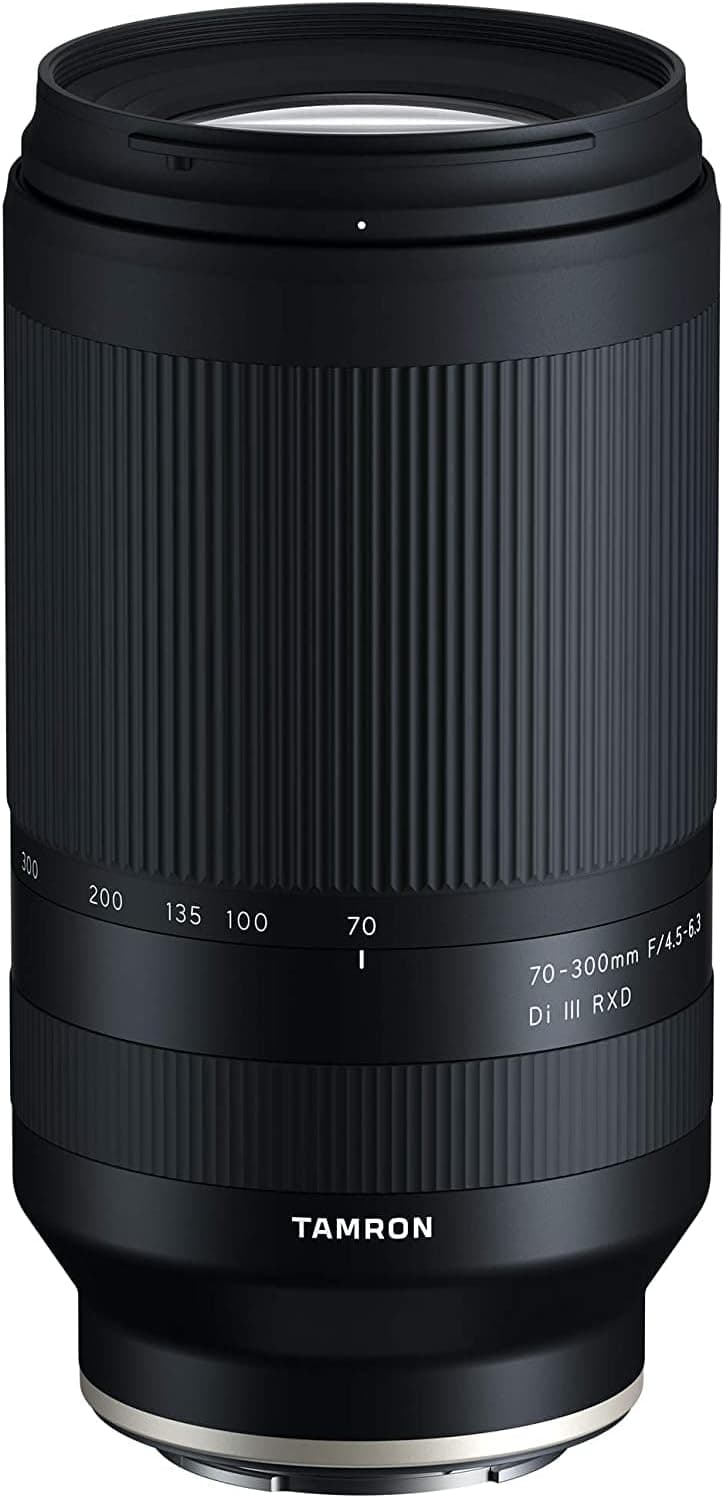 Sigma 100-400mm f/5-6.3 DG DN OS Contemporary detail