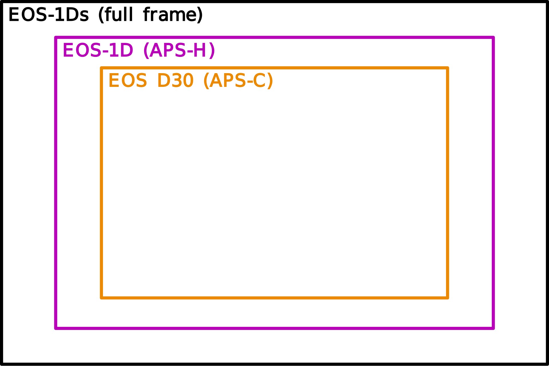 Diagram comparing full-frame, APS-C, Micro Four Thirds, and smaller digital camera sensor sizes