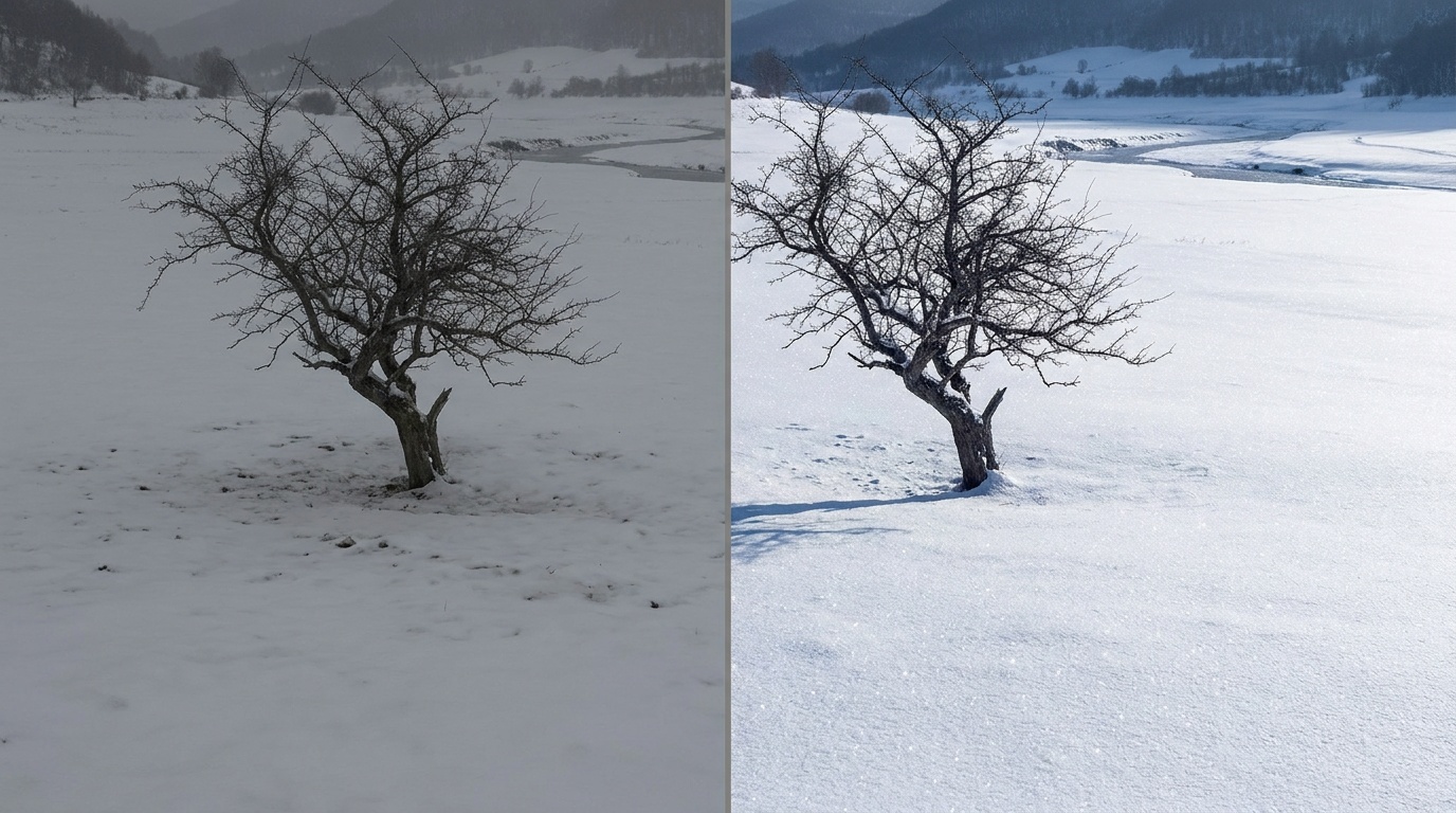 The same snowy field with a lone pine shown twice, first dull and muddy gray as the meter underexposed it, then bright and clean with crisp white snow and a blue sky after adding positive exposure compensation