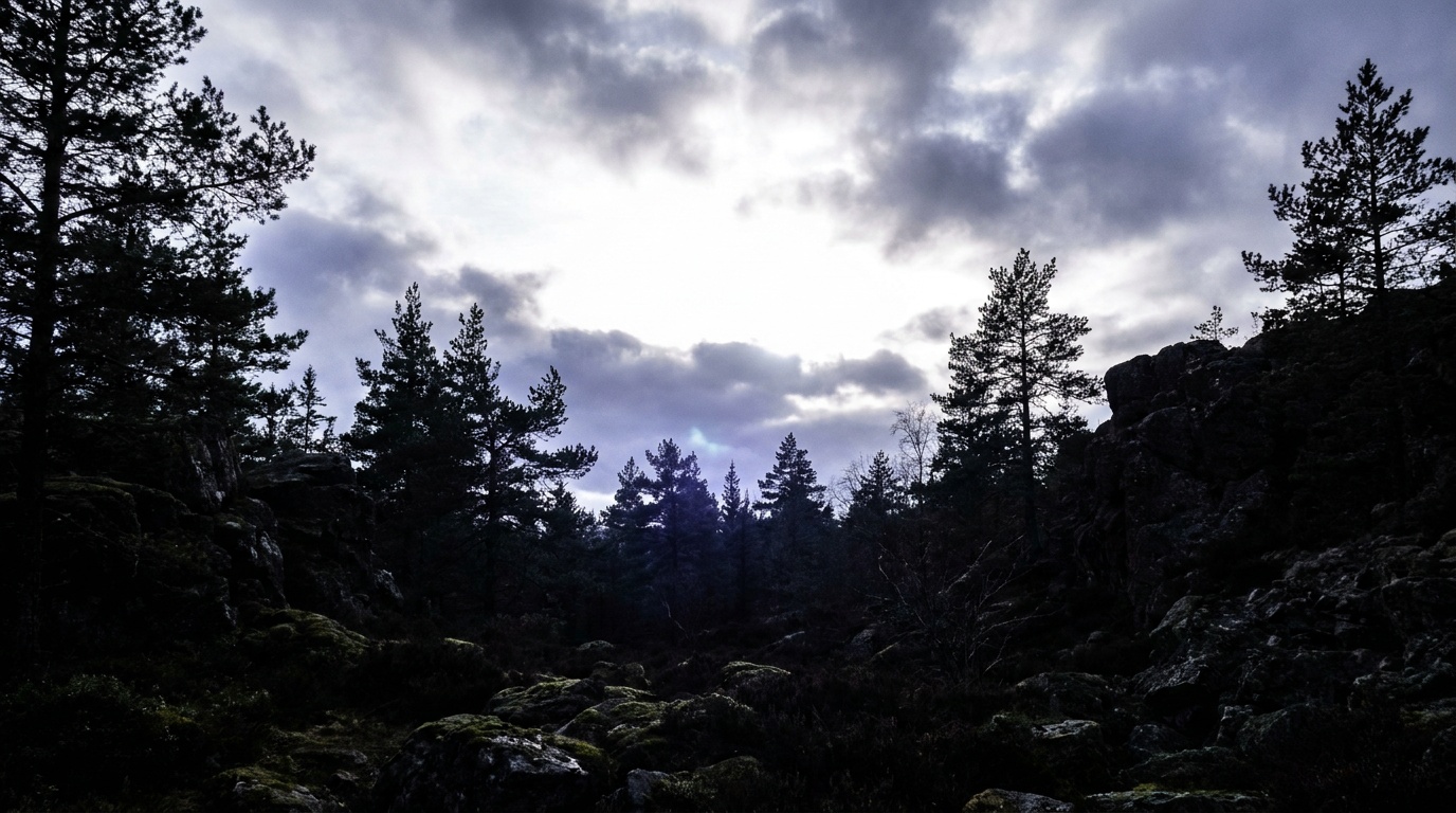 A high-contrast valley scene with a brilliant cloud-streaked sky blazing above deep, shadowed forest in the foreground, the brightness gap far wider than one exposure could hold