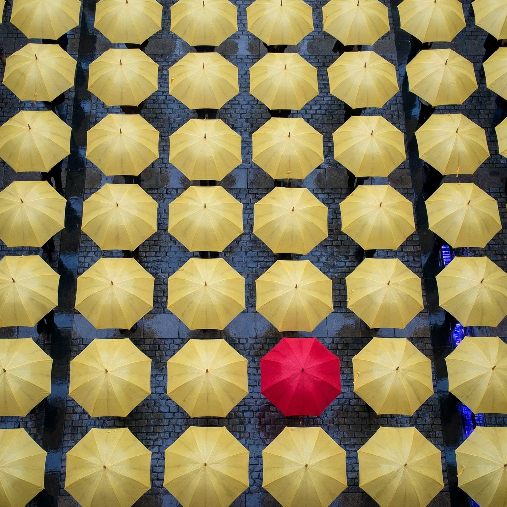 A dense overhead pattern of identical yellow umbrellas filling the frame with a single vivid red one breaking the rhythm, the red umbrella instantly grabbing the eye as the focal point